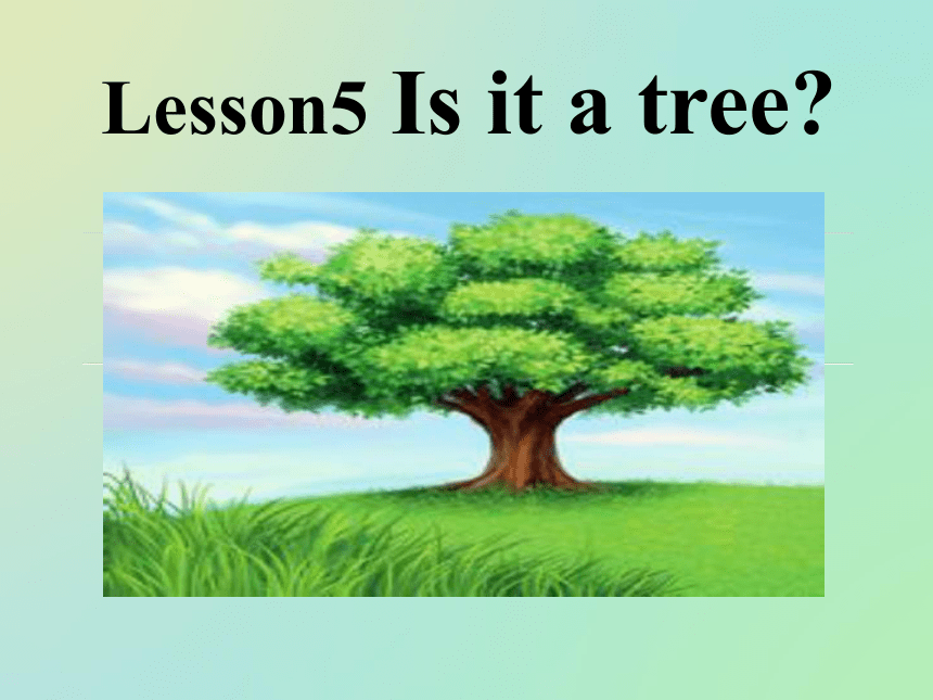 Lesson 5 Is it a tree? 课件