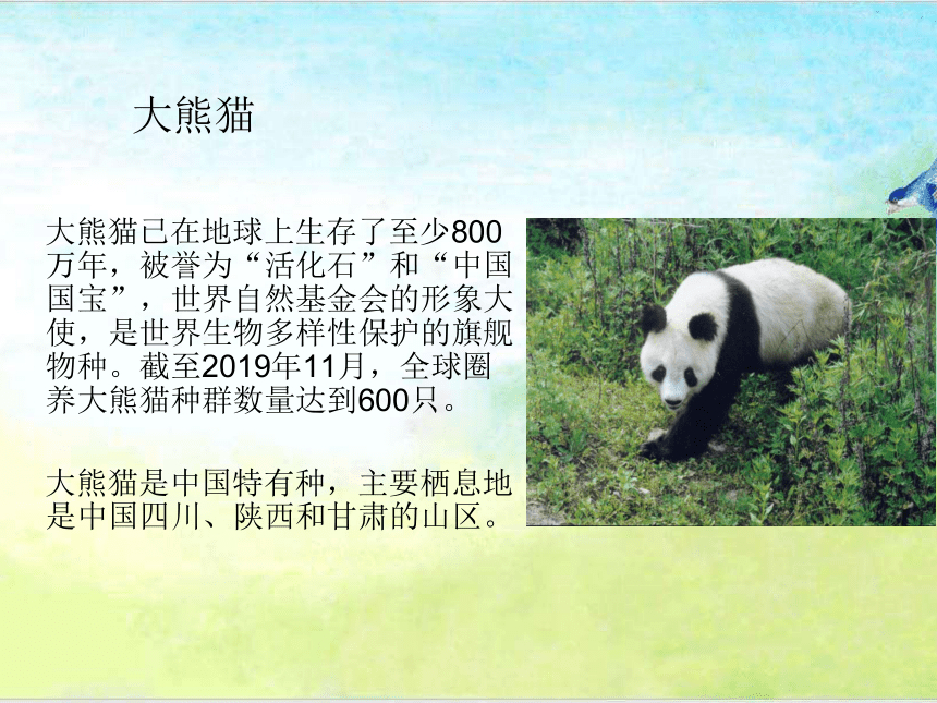 青岛版四年级上册科学 5 我国的珍稀动物 课件(16张ppt)