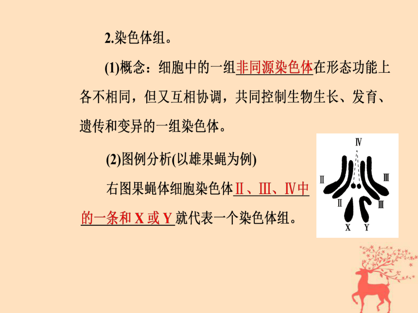 2018年秋高中生物新人教版必修2第五章基因突变及其他变异第2节染色体变异课件(89张PPT)