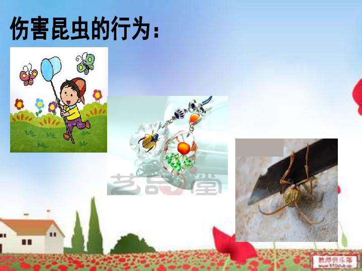 2昆虫保护宣传画 课件(15张幻灯片)