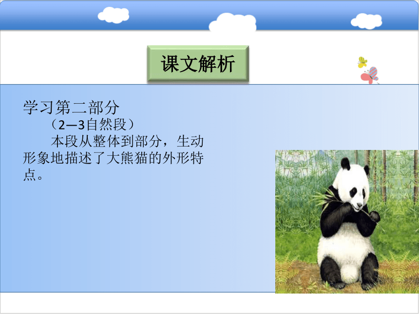 大熊猫课件