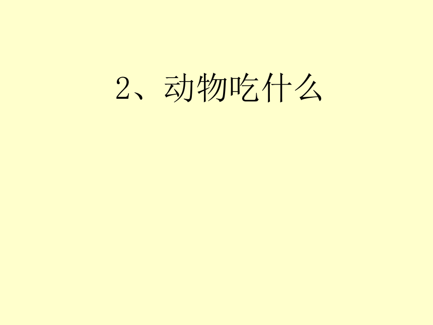 小学科学  鄂教版  五年级下册  第一单元  2.动物吃什么 课件