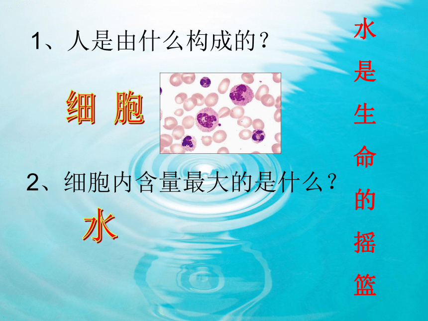 《生命与水》课件