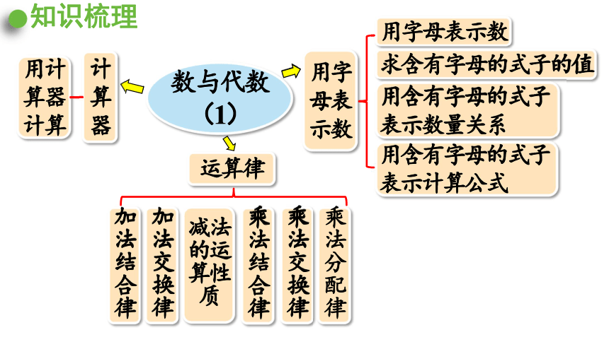 三年级下册数与代数图片