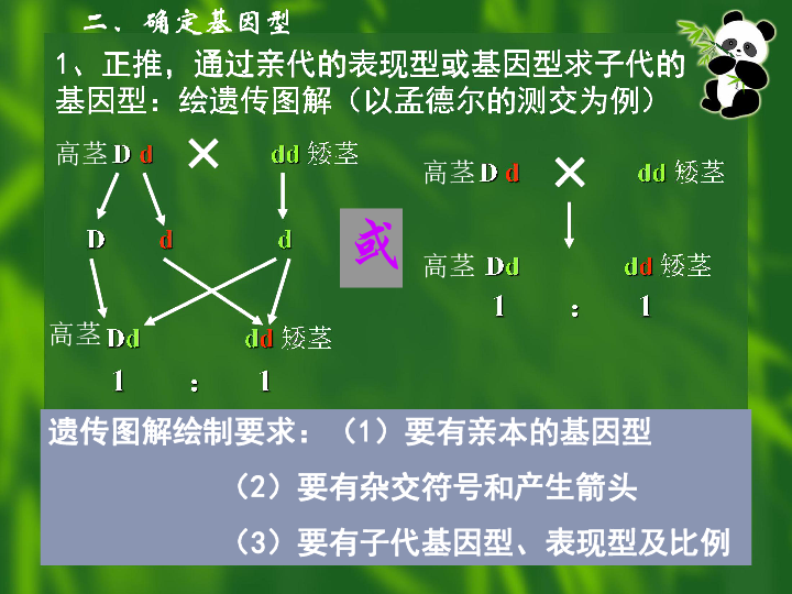 生物 人教版(舊版) 必修第二冊 第六章 遺傳和變異 一 基因的分離定律