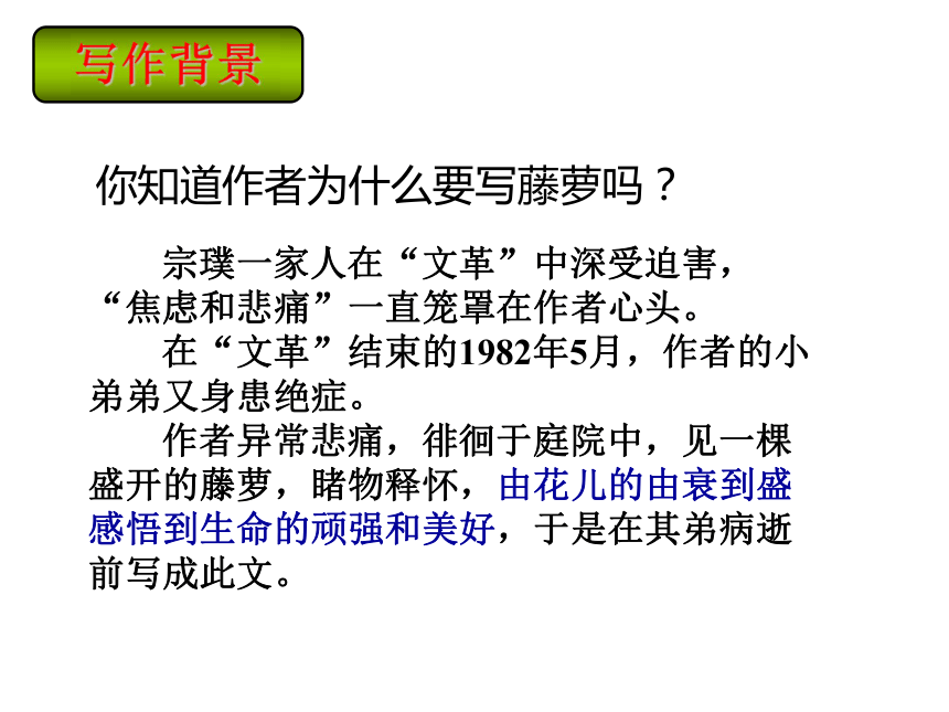 语文七年级下部编版第17课《紫藤萝瀑布》课件