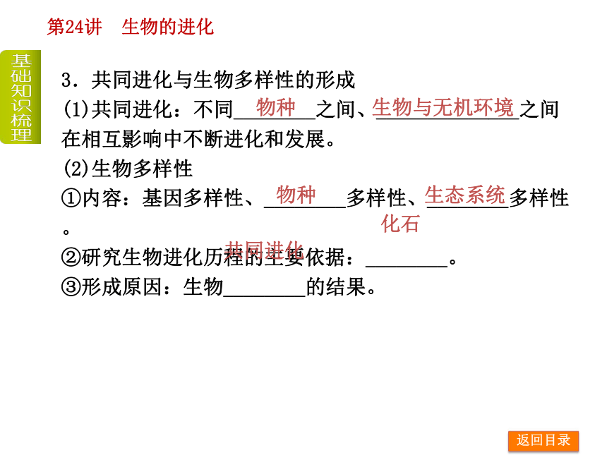 【抢占先机】2014届高考生物（安徽）一轮复习方案课件：第24讲 生物的进化（共61张PPT）
