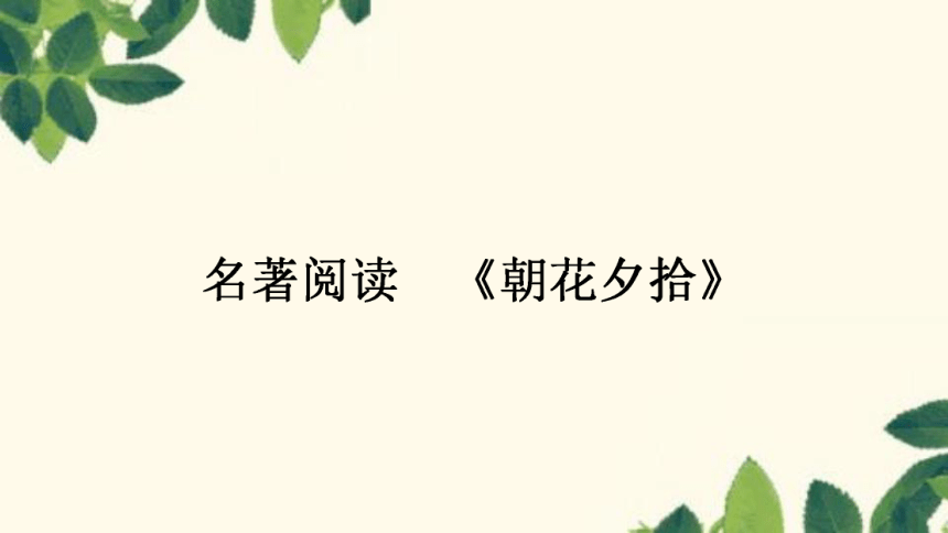 课件预览