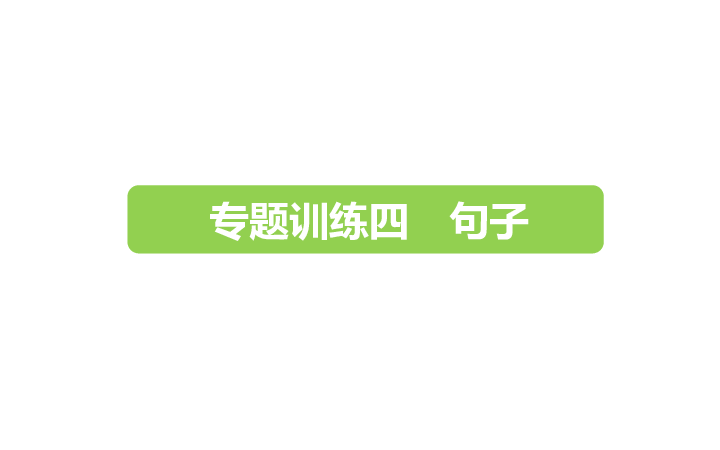 六年级下册语文课件-2019小升初－专题训练四　句子 全国通用 (共19张PPT)