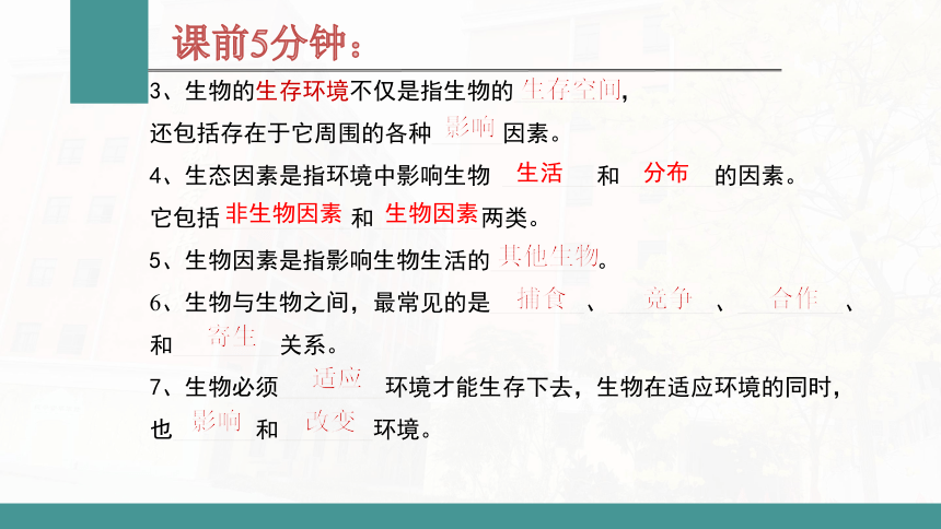 1.2.2生物与环境组成生态系统课件(共29张PPT) 2021-2022学年人教版生物七年级上册