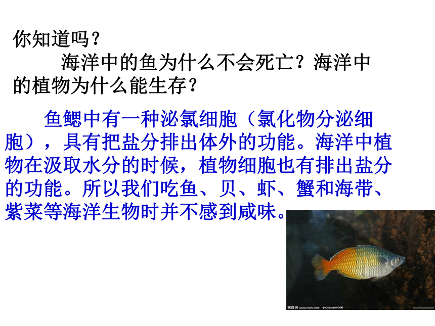 华师大版七年级科学下册1.1地球上的水