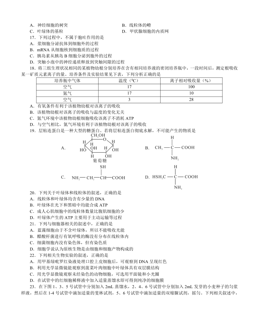 四川省资阳市2016—2017学年度高中二年级第二学期期末质量检测生物试卷