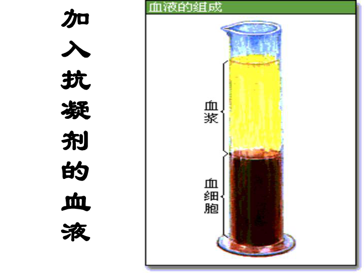 1《人體內物質的運輸--血液》課件(39張ppt)