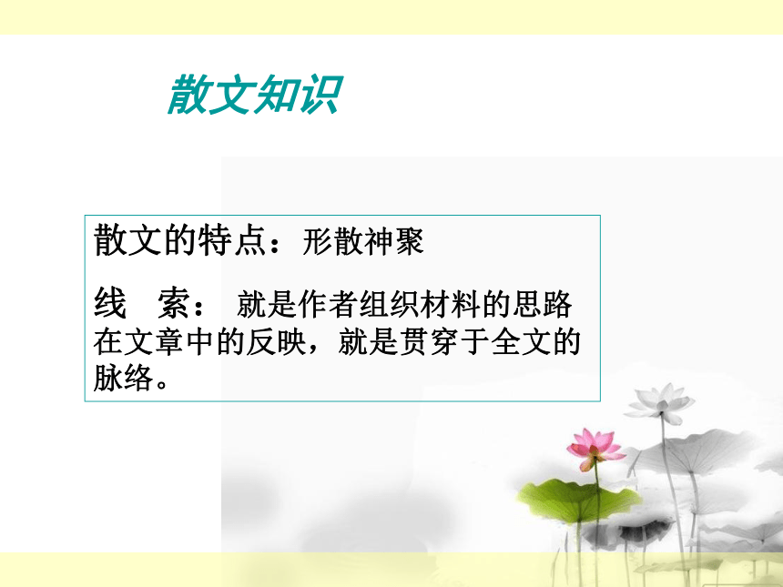 语文八年级上长春版2.5清塘荷韵课件（61张ppt）