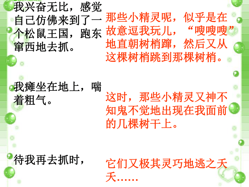 《那只松鼠》课件