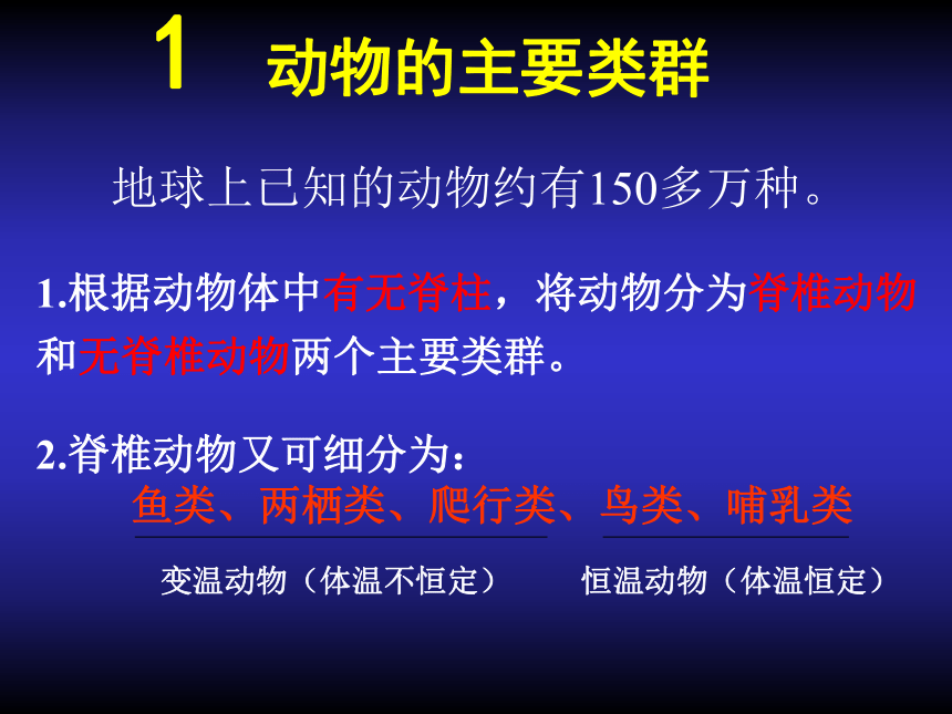 动物的主要类群-脊椎动物