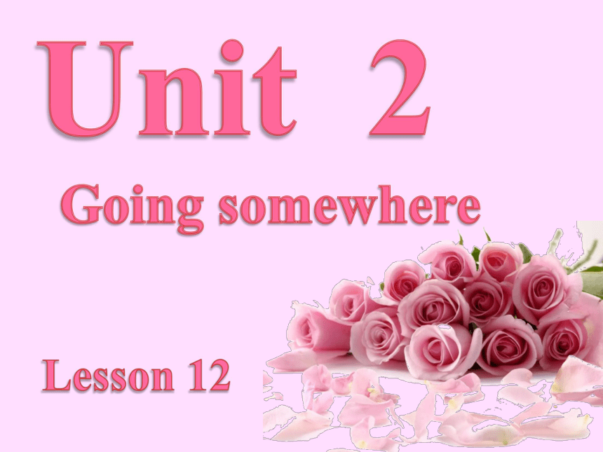 Unit 2 Going somewhere Lesson 12 课件