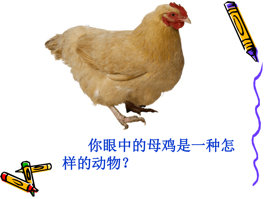 湘教版 四年级上册 第五单元 18 母鸡