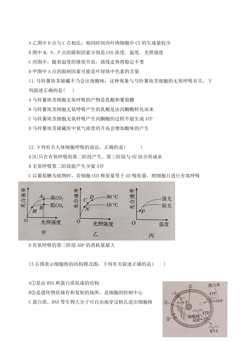 辽宁省铁岭市私立求实中学2019-2020学年高二下学期期末考试生物试题