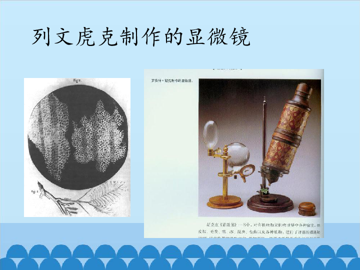 电子显微镜历史图片
