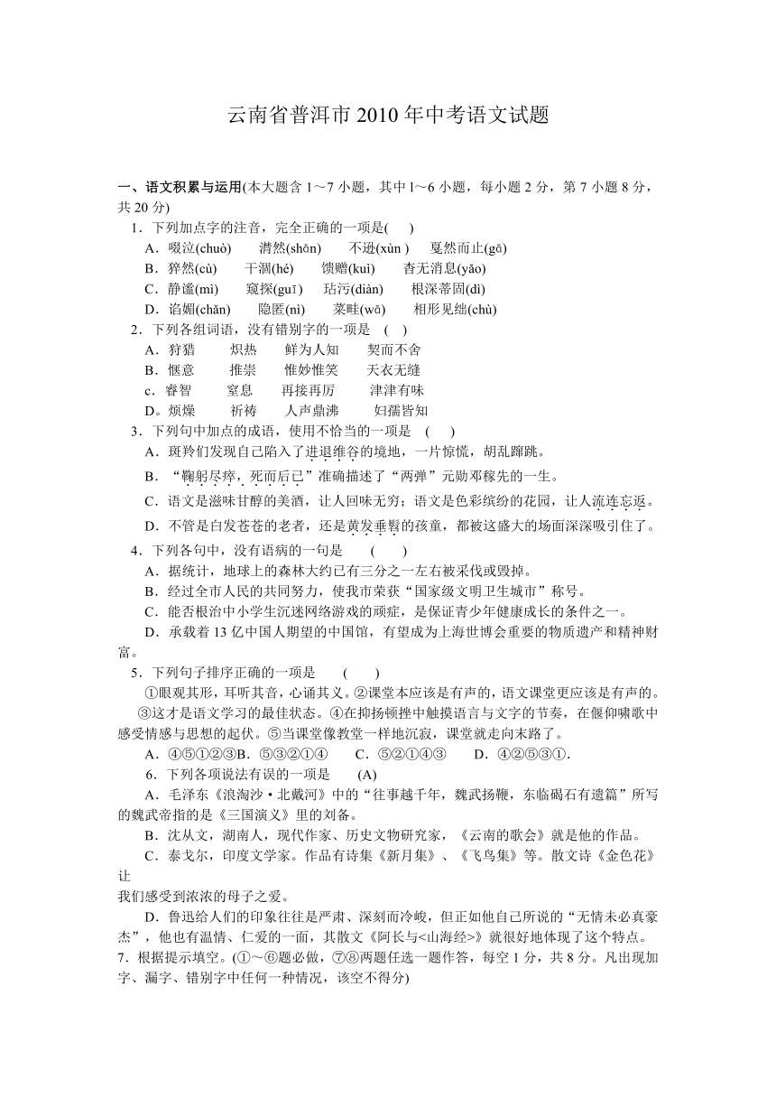 云南省普洱市2010年中考语文试题