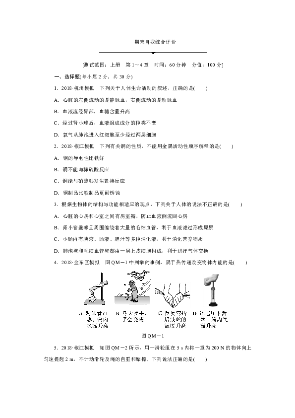 浙教版科学九年级上册 期末自我综合评价