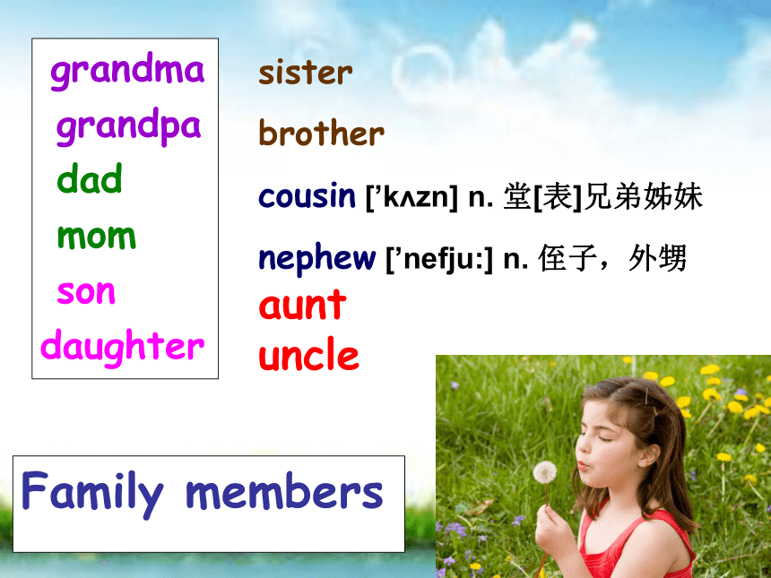 unit 11 our family tree 课件