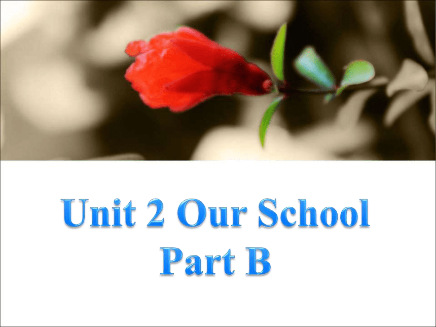 Unit 2 Our School PB 课件