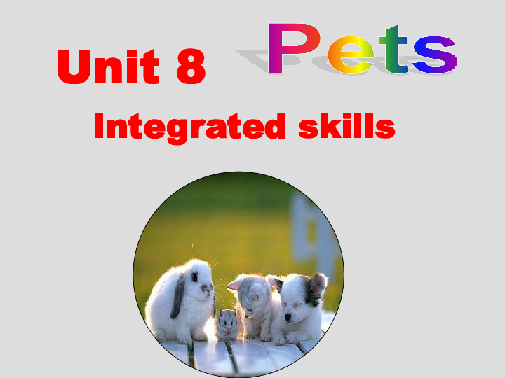 Unit 8 Pets Integrated skills 课件27张