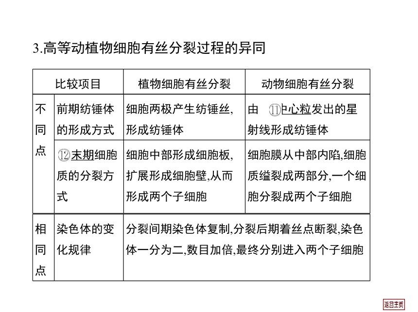 2014届高三生物一轮复习课件： 4.1 细胞的增殖