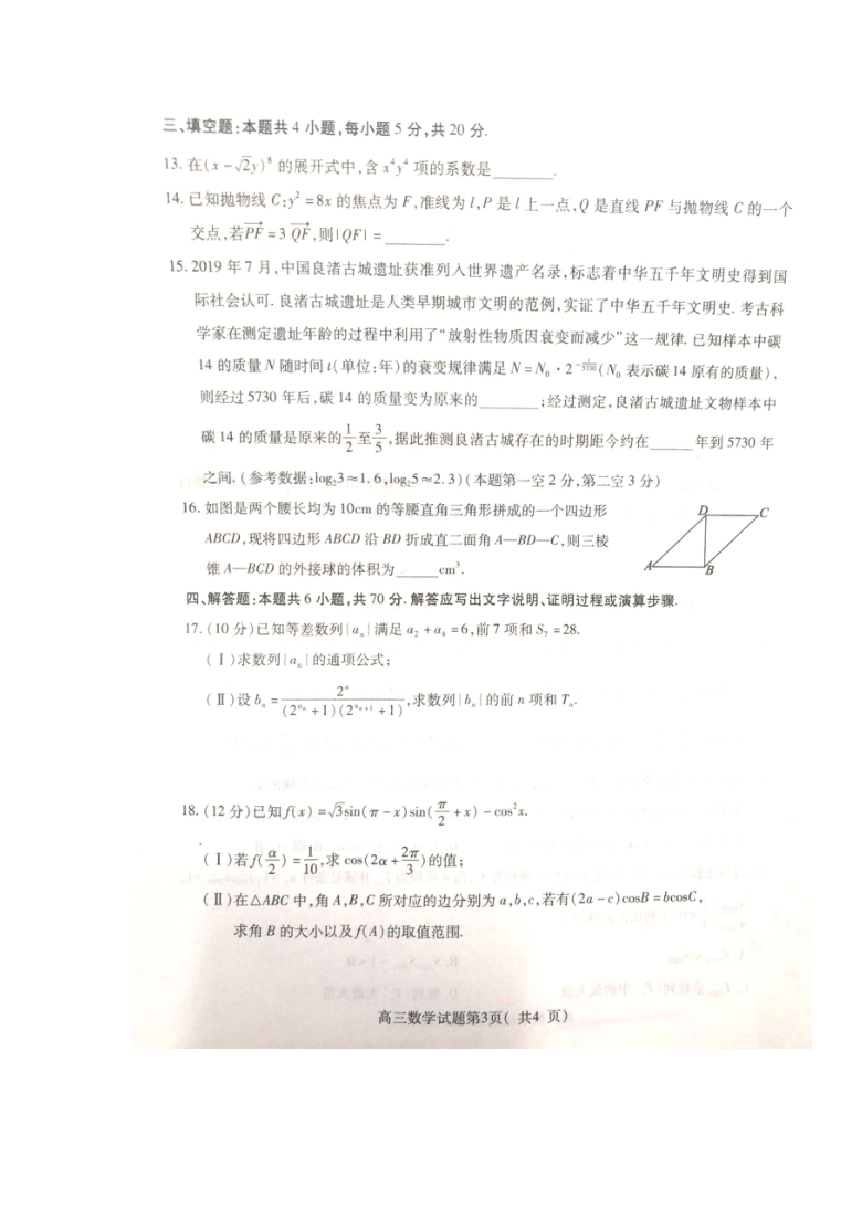 山东省济宁市2020届高三上学期期末质量检测数学试题（PDF版含答案）