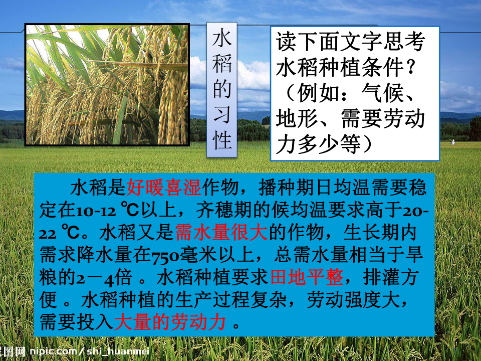 人教版高中地理必修二3.2 以种植业为主的农业地域类型(34张PPT)
