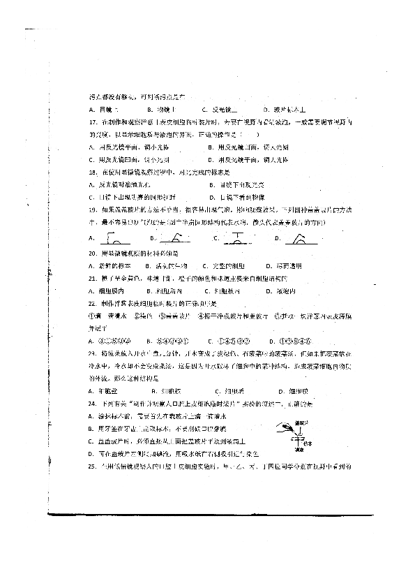 广东省阳江市2019-2020学年第一学期七年级生物期中试题（扫描版，含答案）