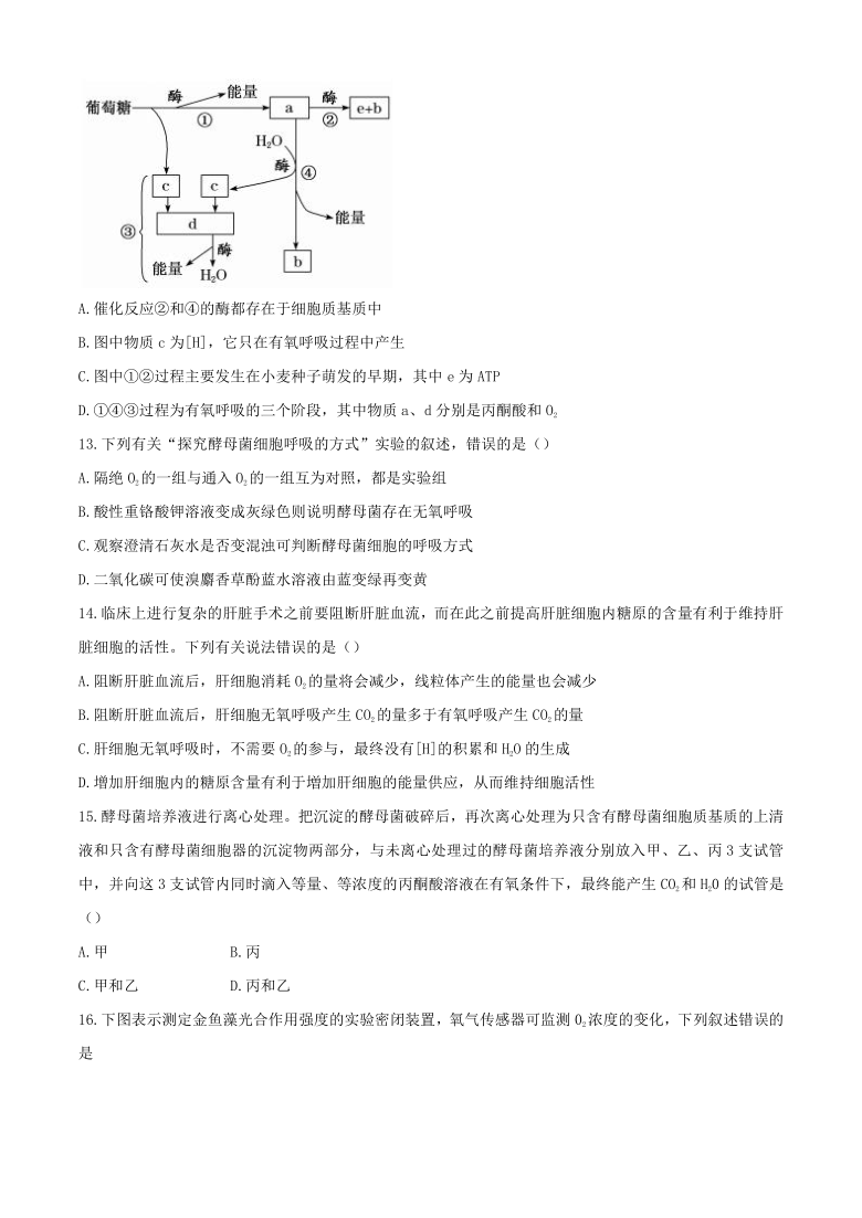 广东省珠海第二高中2020-2021学年高一12月月考生物试题  含答案