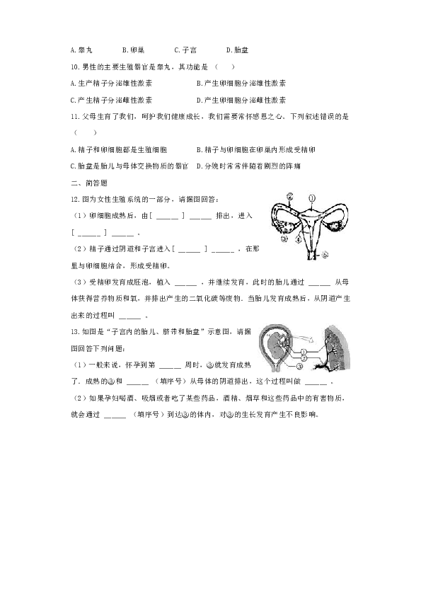 第二节  人的生殖同步练习