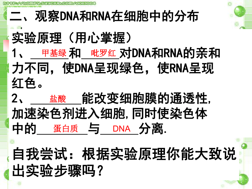 人教版高中生物必修一第二章第三节遗传信息的携带者--核酸