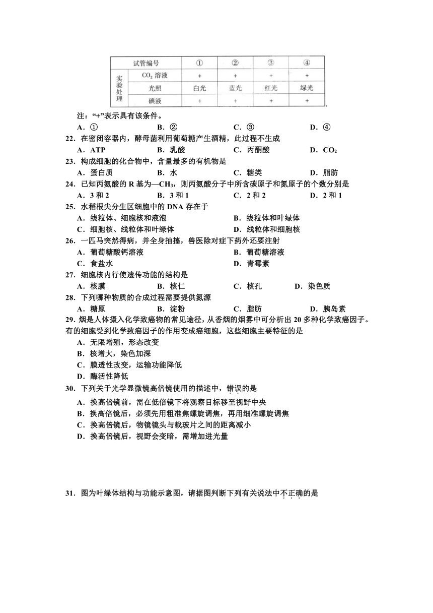 河南省扶沟县高级中学2012-2013学年高一第三次考试生物试题