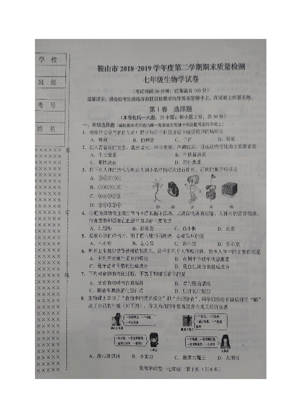 辽宁省鞍山市2018-2019学年七年级下学期期末考试生物试题（图片版含答案）