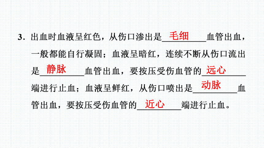 2018年广东省中考生物总复习课件--用药与急救(共81张PPT)