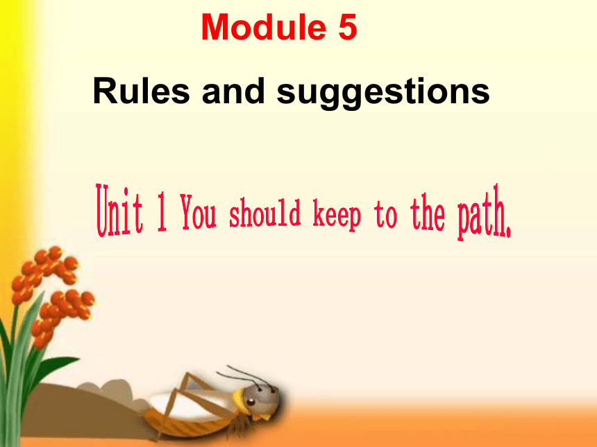 九年级下>Module 5 Rules and suggestions>Unit 1 You must keep to the path.