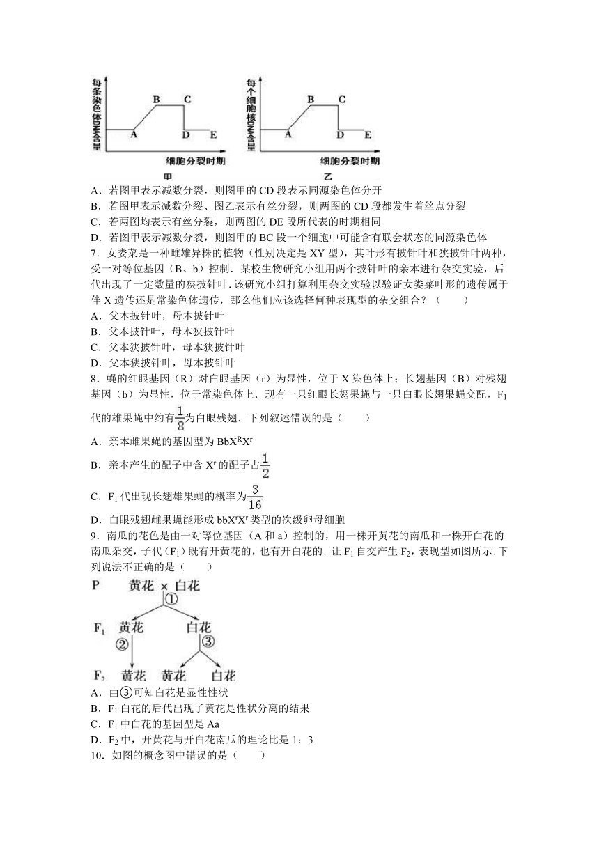 湖北省襄阳市枣阳高中2015-2016学年高一（下）期中生物试卷（解析版）