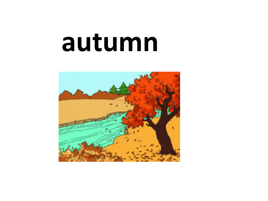 autumn英语怎么读图片