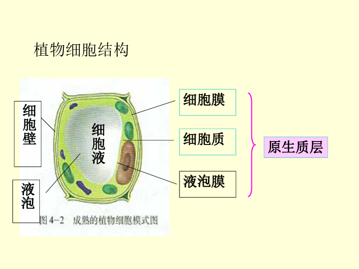 三体水滴结构图片