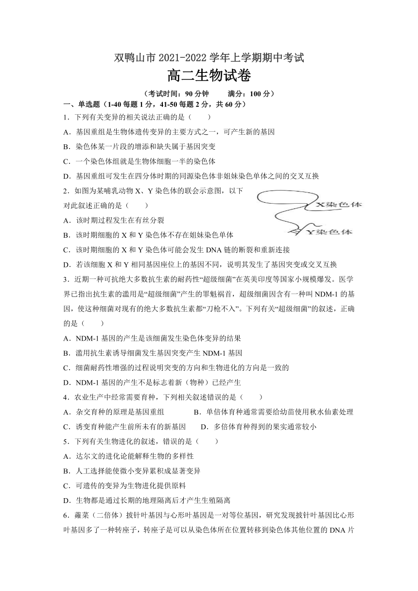 黑龙江省双鸭山市2021-2022学年高二上学期期中考试生物试卷（Word版含答案）