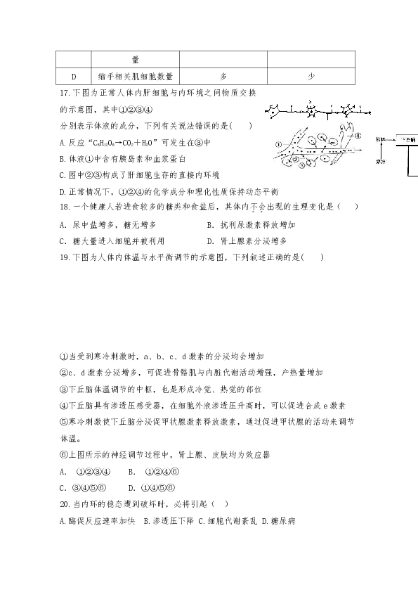 新疆哈密市第十五中学2019-2020学年高二上学期期中考试生物试题