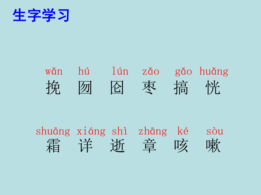 《我的伯父鲁迅先生》ppt课件1