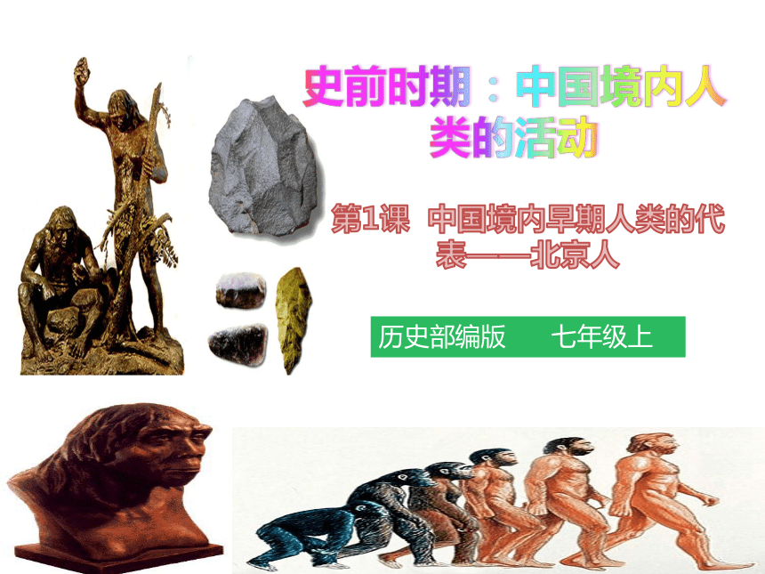 第1课 中国境内早期人类的代表—北京人  课件(39张PPT)