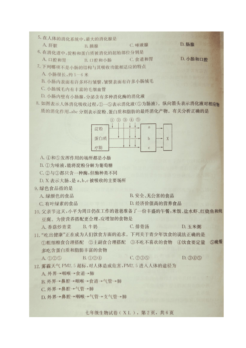 河北省石家庄市新乐县2017-2018学年七年级下学期期末考试生物试题（图片版,含答案）