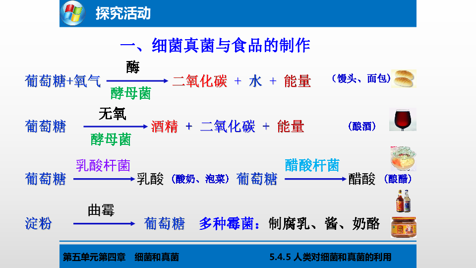 人教版生物八上5.4.5人类对细菌和真菌的利用课件(共41张PPT)