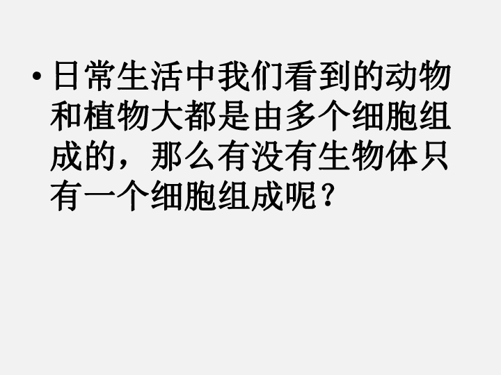 人教版七年上册2.4单细胞生物课件（27张ppt)